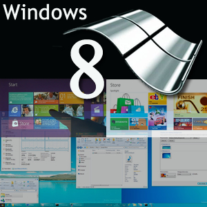 Conoce Windows 8